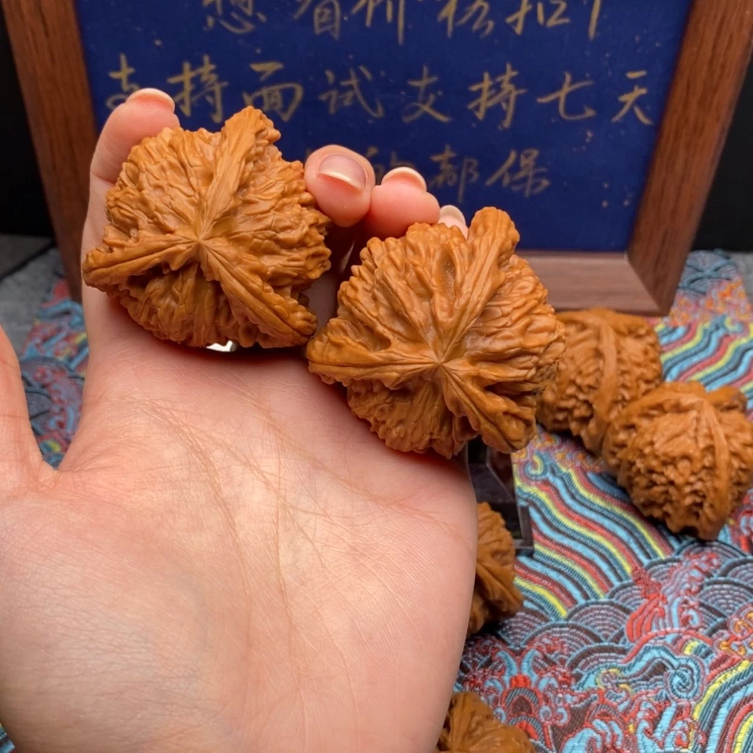 【闪购商品】王***儿白狮