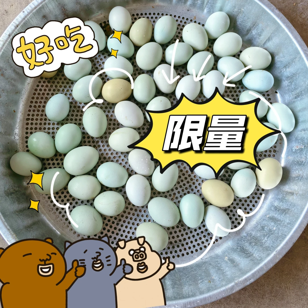 新鲜散养五黑鸡绿壳初生蛋营养丰富