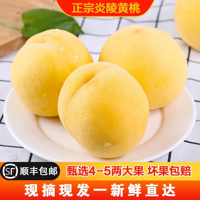 【炎陵黄桃】整箱5斤 10斤顺丰冷链次日达炎陵一级黄桃现摘现发黄桃同城送湖南省
