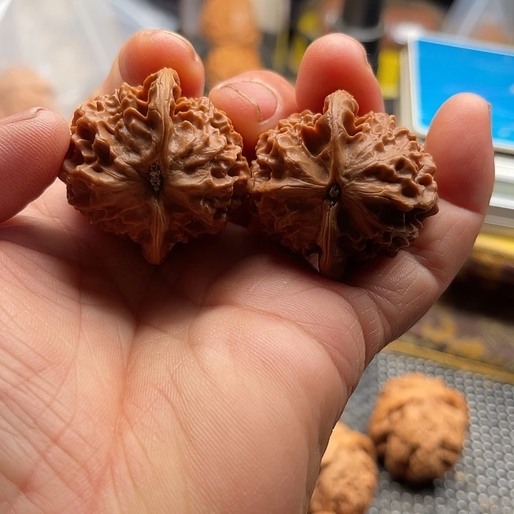 收***节把件桃核特价核桃