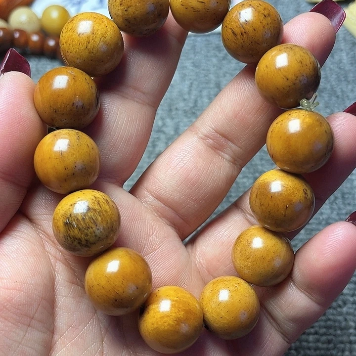 大果紫檀（缅甸花梨）