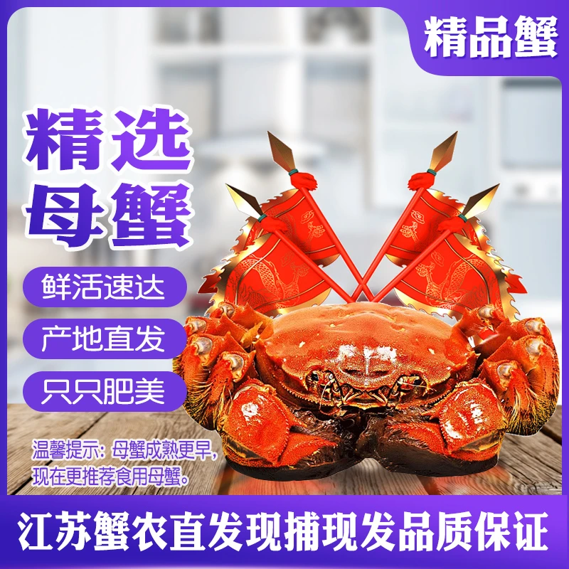 【活蟹现发】精品大母蟹8只装10只装（㍛0-㍛5两）洪泽湖大闸蟹螃蟹礼盒