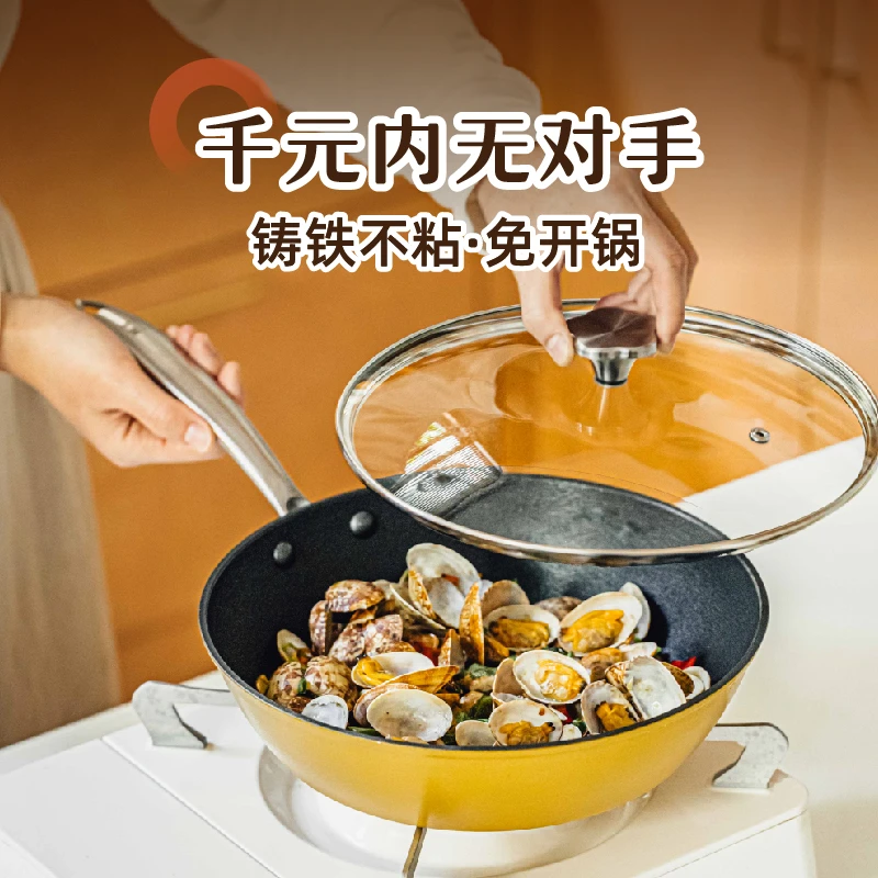 树可新品 | 深款轻铸铁煎锅家用免开锅带盖焖煮炒菜煎鱼锅