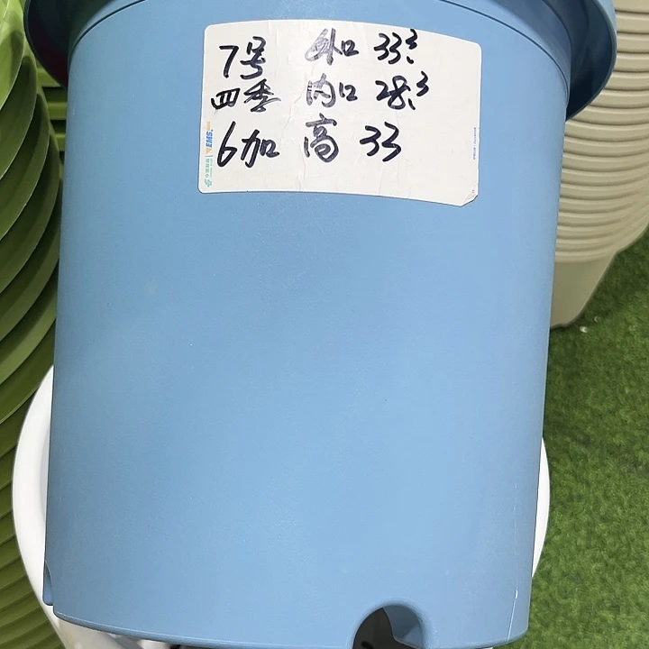 特价7号四季口33高33蓝色无托4只