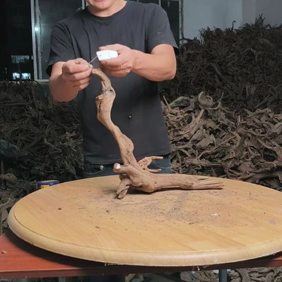 木鱼缸造景水库杜鹃根 103