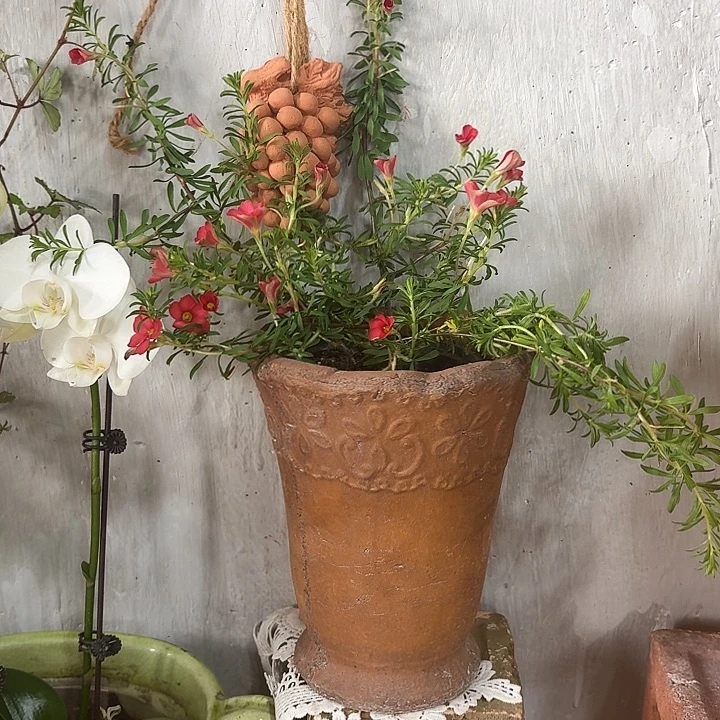 许纯的花房 小碎花 复古色