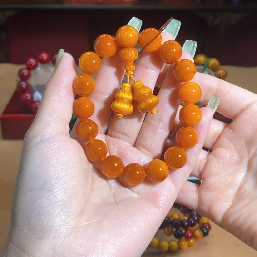 贝壳杉帝王血龙木1.2金丝