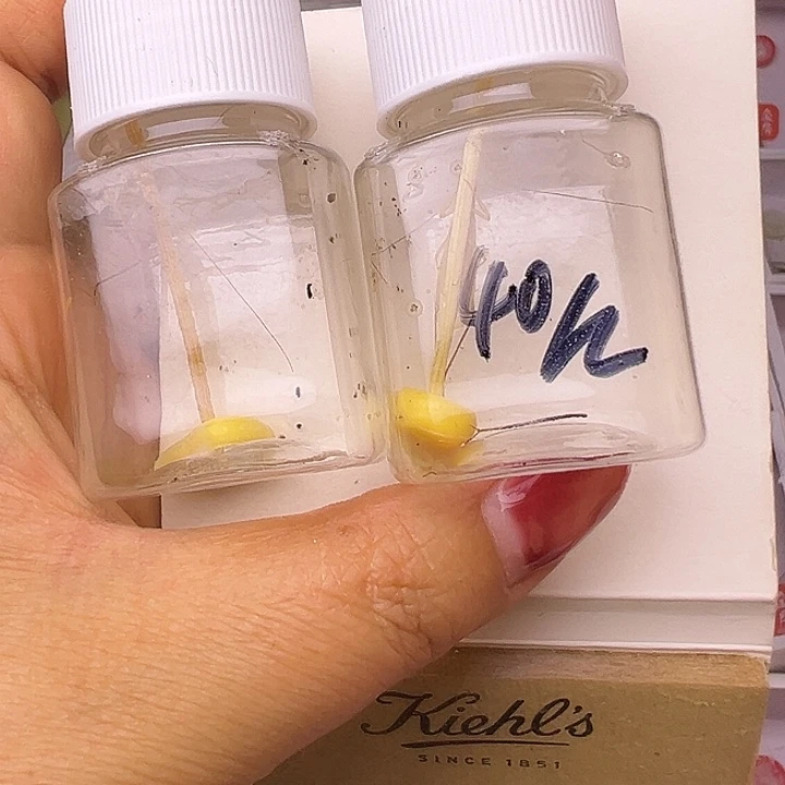 中须柬埔寨哈哈哈哈哈哈哈哈哈哈哈