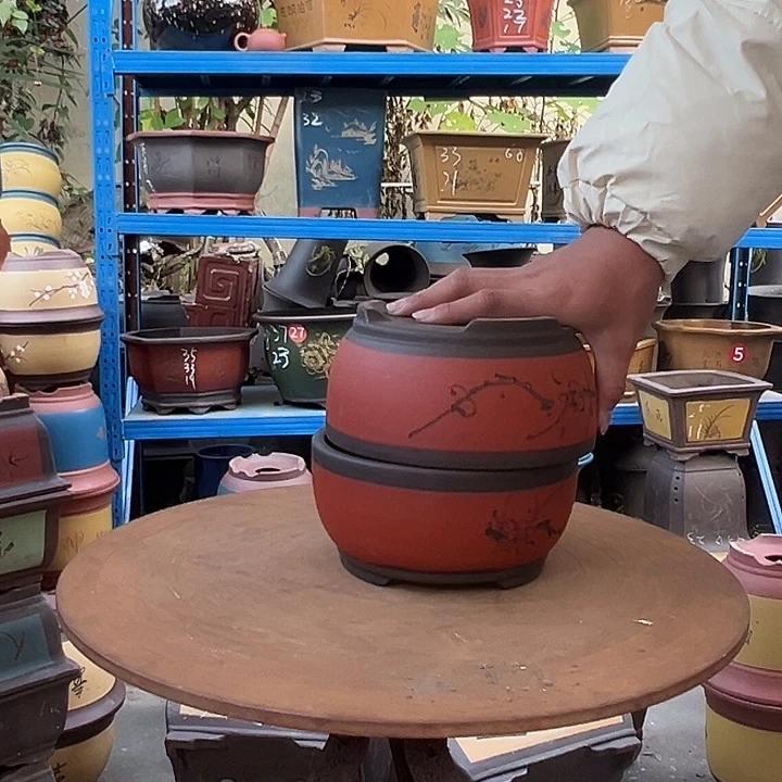 18+18红球盆花盆花盆花盆