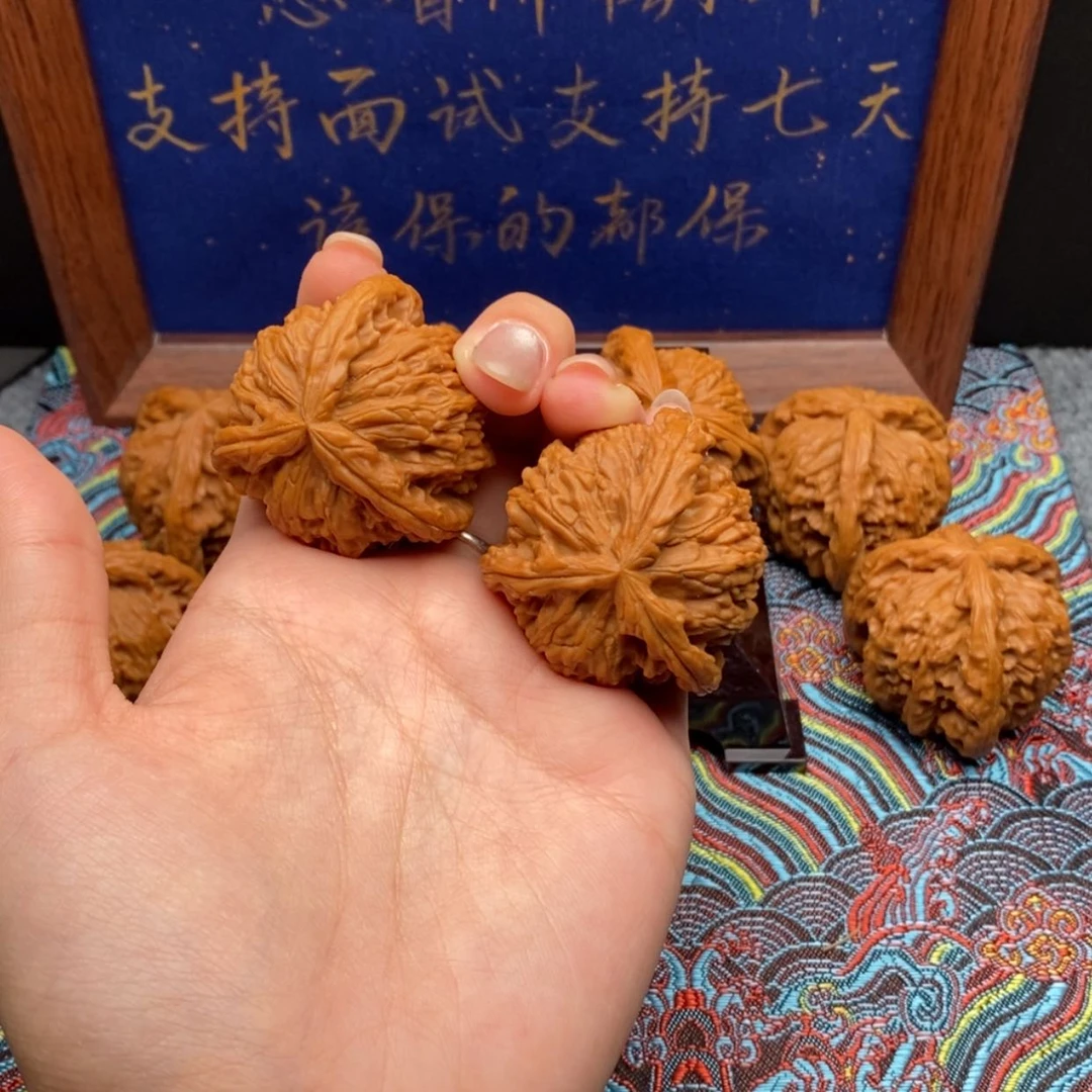 【闪购商品】怕***夜白狮