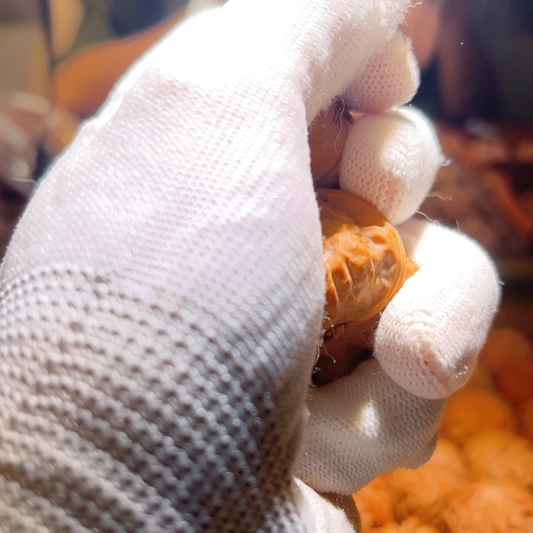 榕***勋文玩核桃吊坠蛤蟆天天开心