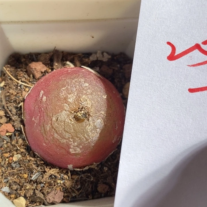 南****?25230一个一个一个