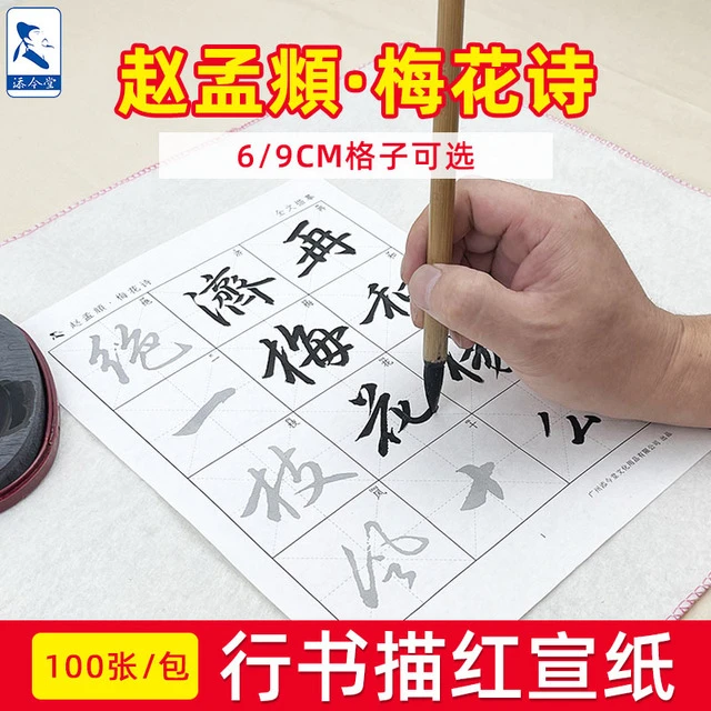 赵孟頫梅花诗帖行书毛笔临摹字帖成人书法初学者练字入门练习纸赵
