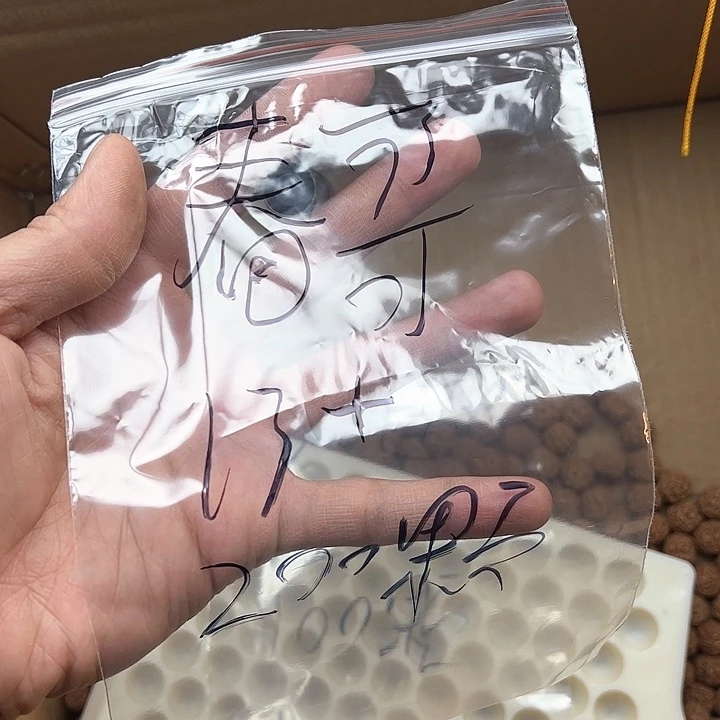 金刚菩提手串春**1梅花