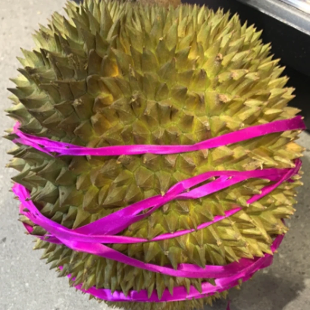 长柄猫山王鲜榴莲，泰国，1500～3500克，核大猫山王泰国