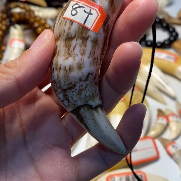 驼骨把件驼骨把件紫色牙牙