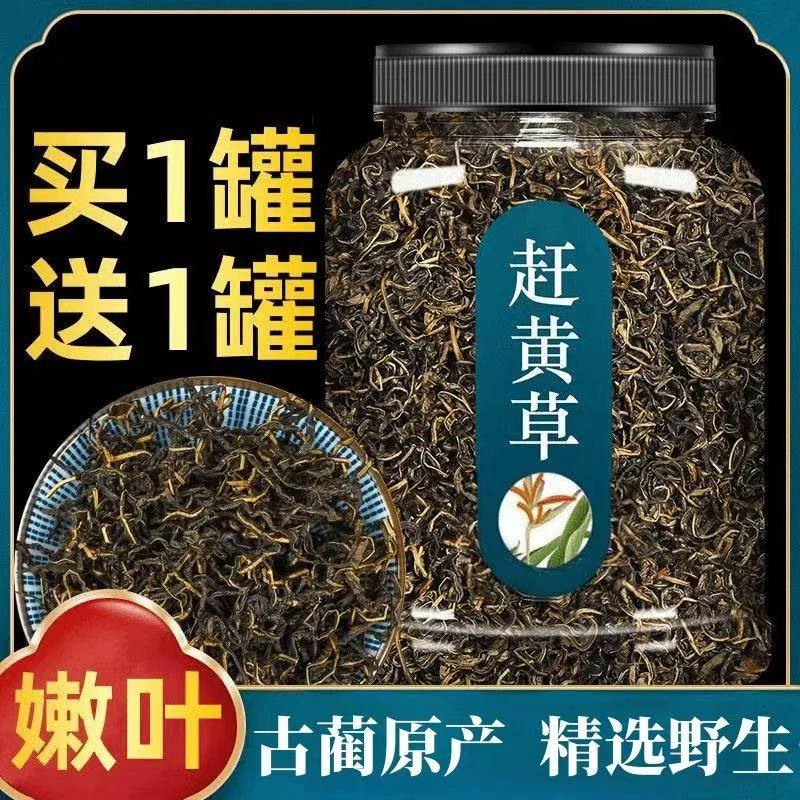 【到手2罐】赶黄草新货2025中药材四川赶黄草泡水喝新鲜赶黄草瓶装