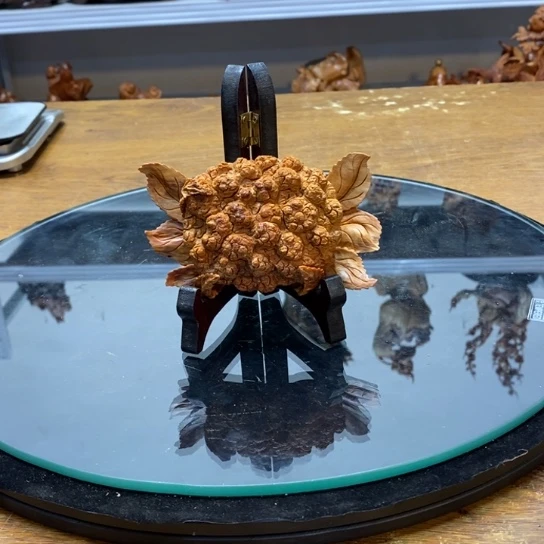 柏木（崖柏）新品发布