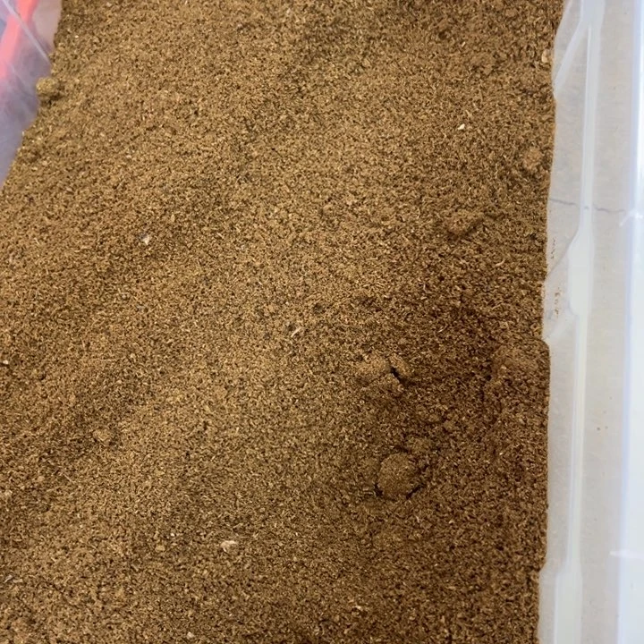 沉香枕沉香奇楠汝湖品质高油粉