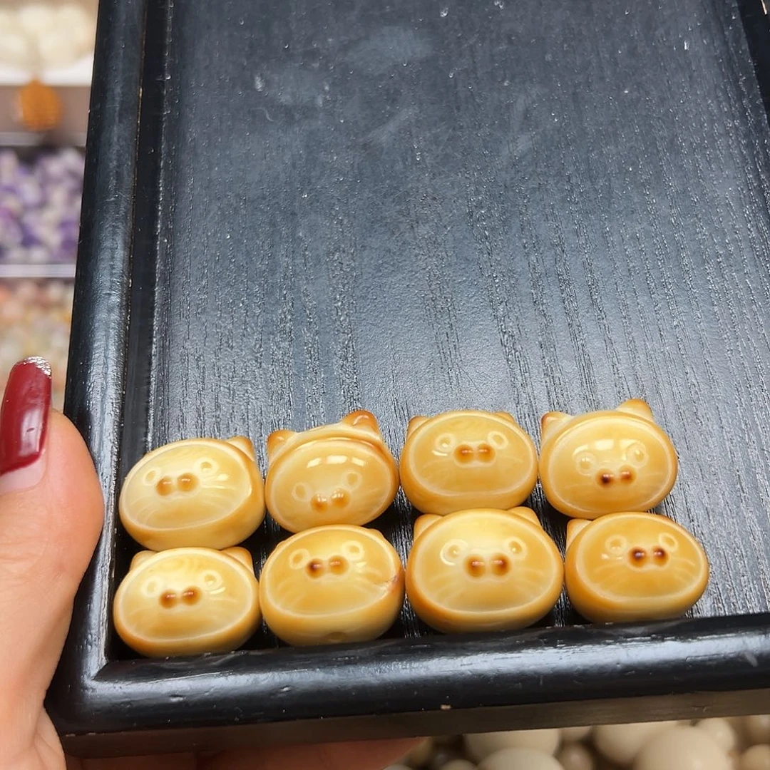 手串菩提根/象牙果微瑕炭烤海抱猫8颗有裂