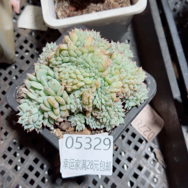 幸运的是我没有遇到过这么