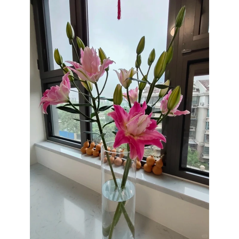 【梦想线】重瓣香水百合 一单包邮 云南鲜花昆明基地现采现发