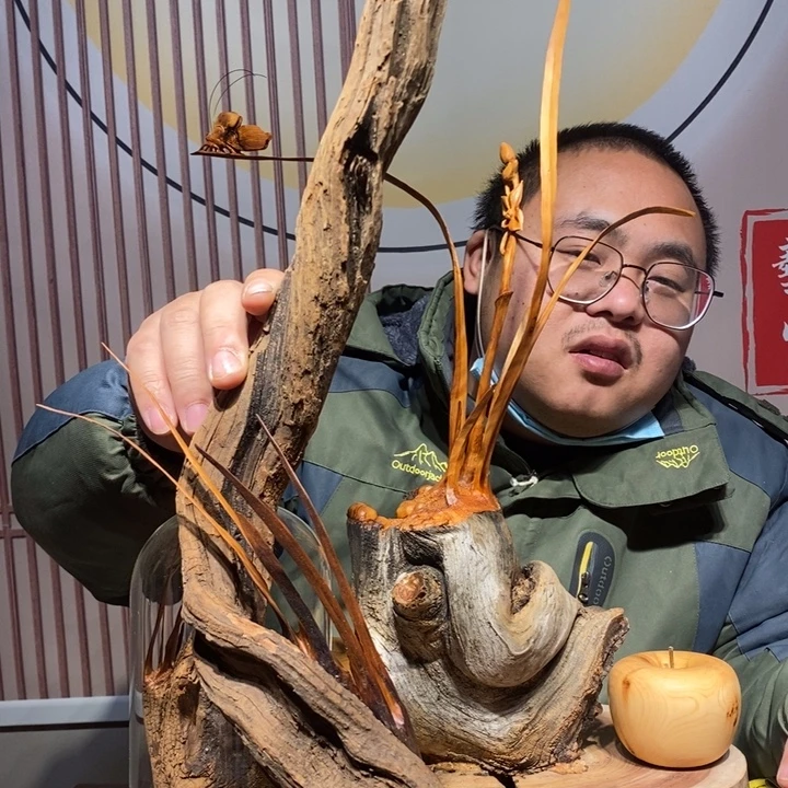 w***春柏木兰花草