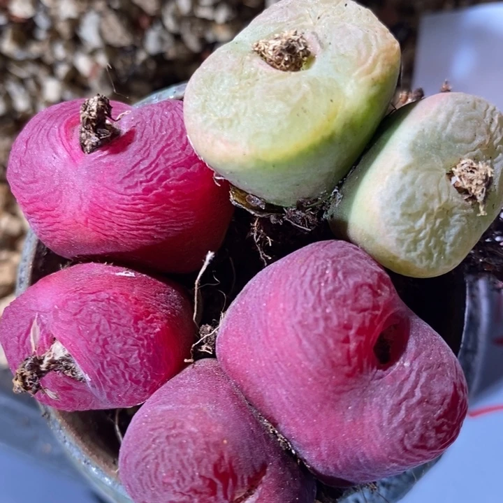 31206一组一组一组