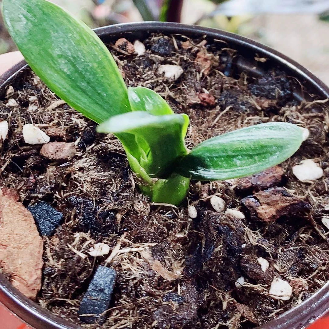 用***4完全开放健健康康快快乐乐