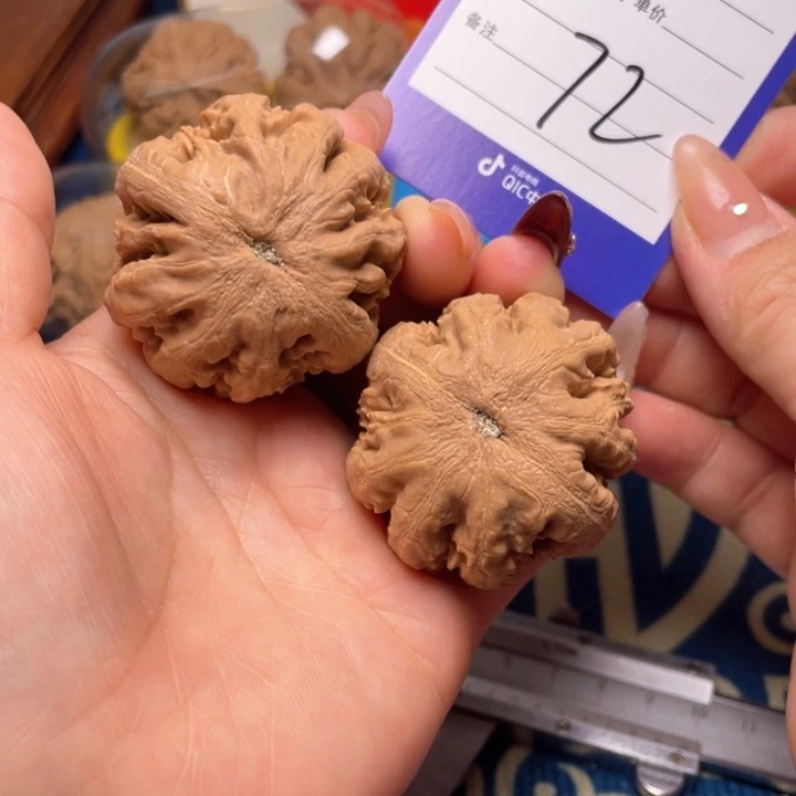 文玩核桃吊坠Y44霸王龙72