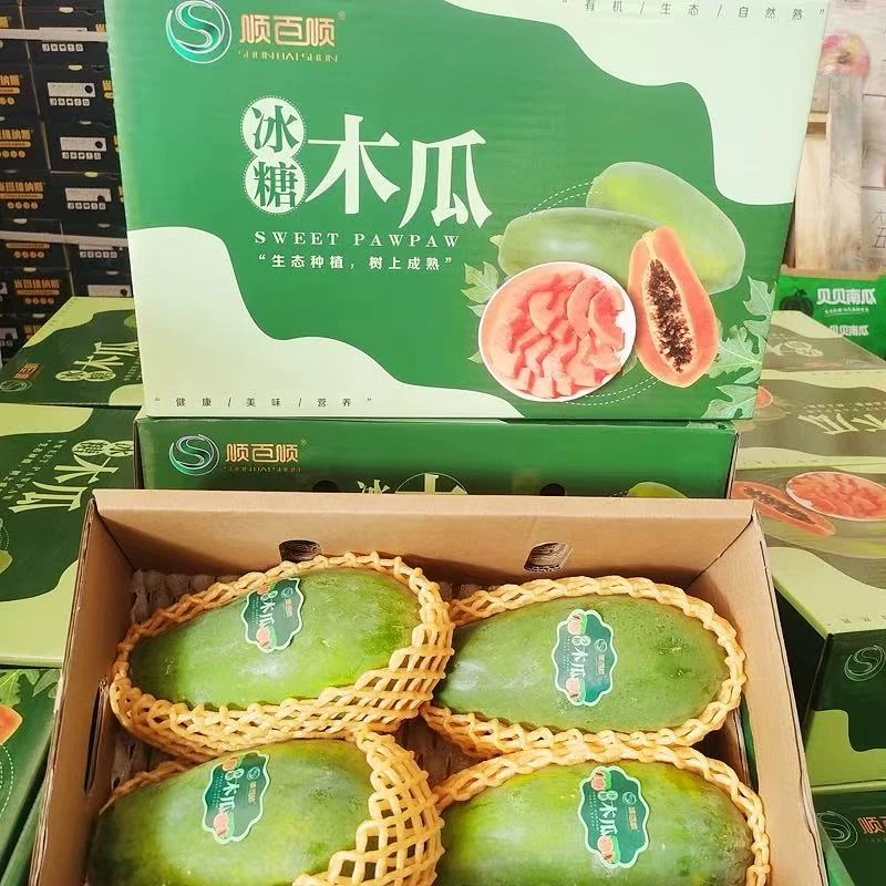 【木瓜】顺百顺冰糖木瓜，生态种植，树上成熟礼盒装4.6斤起广东省
