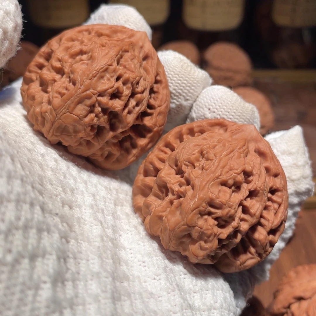 核桃44.5三角梅花