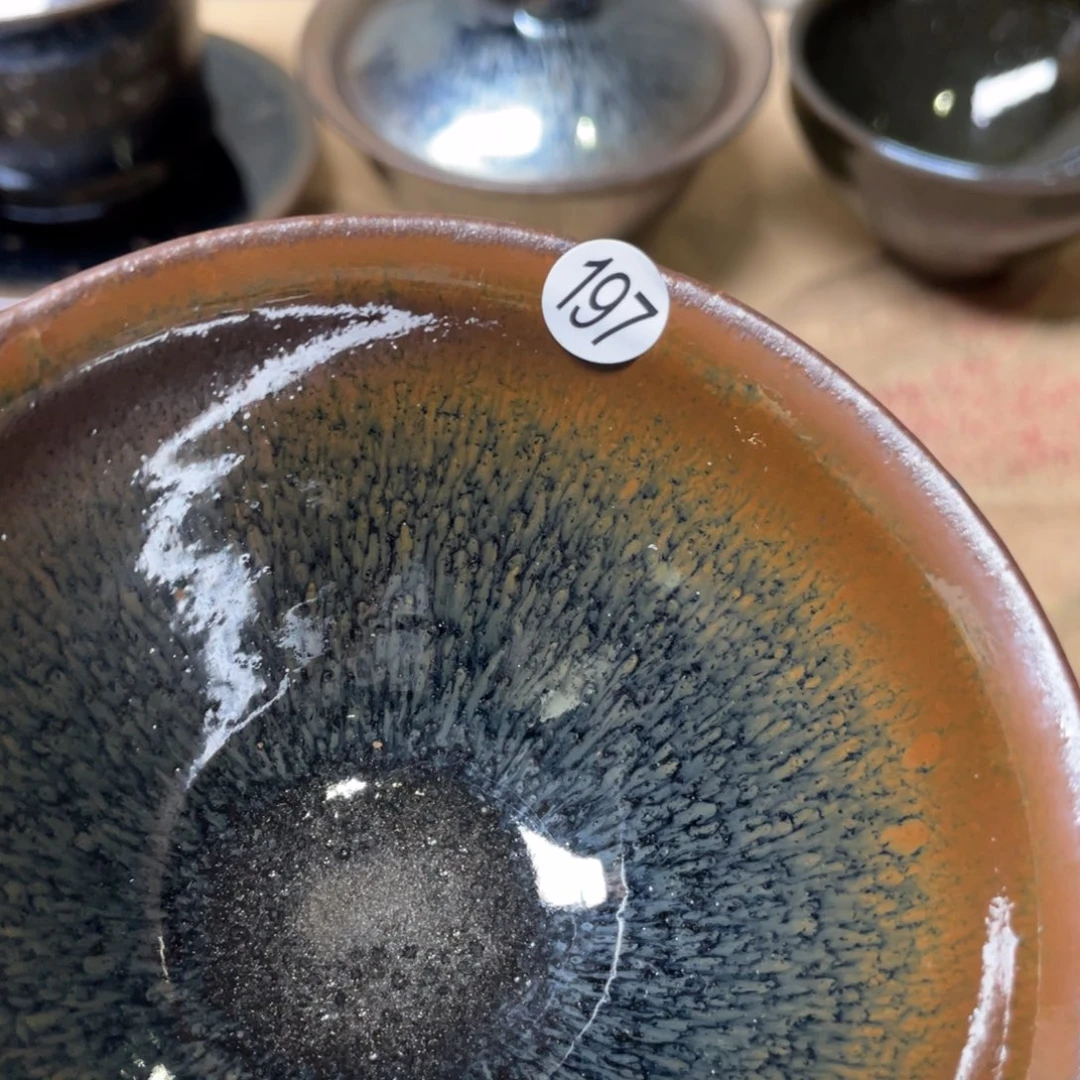 茶盏66666666666666666666