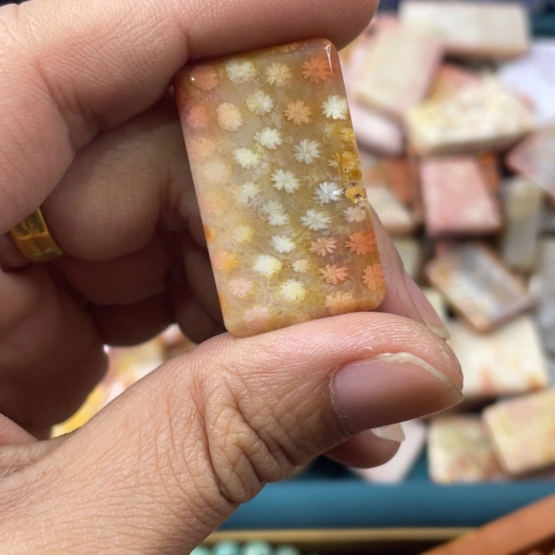 未镶嵌手镯硅化玉