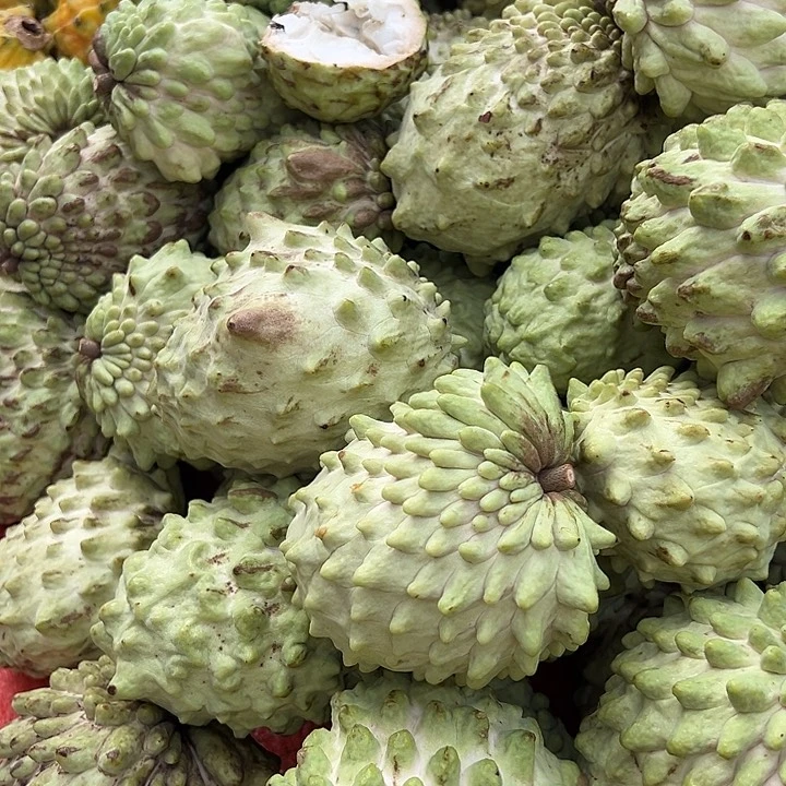 中国大陆释迦果5斤