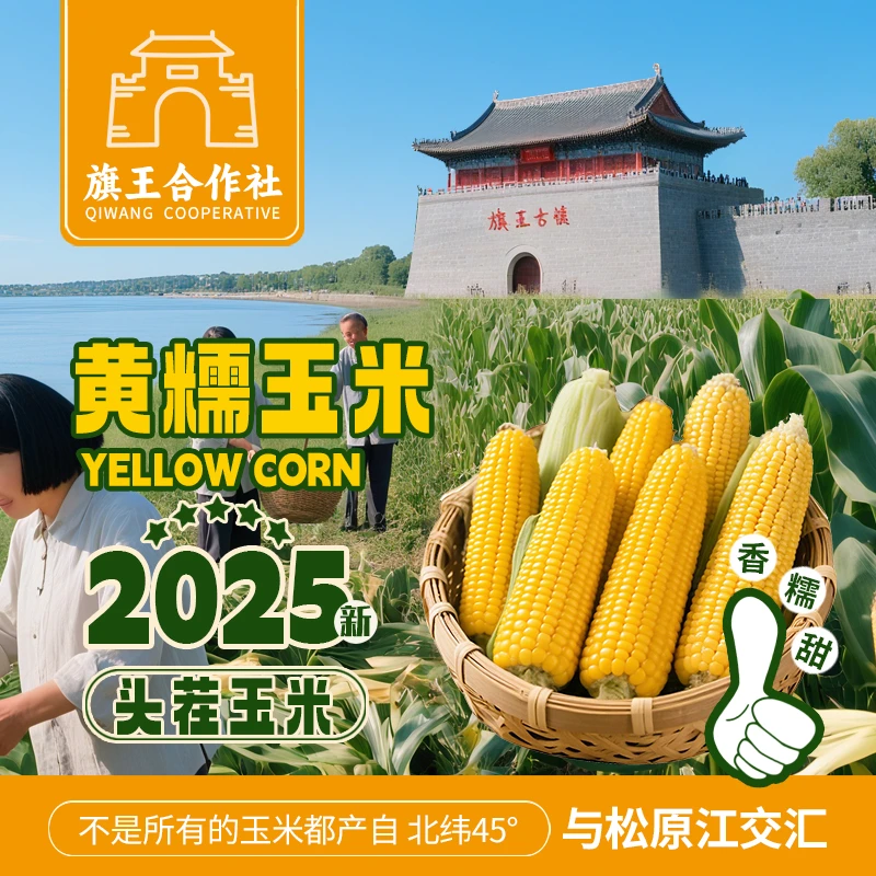 试吃两根【东北头茬大棒黄糯玉米软糯】金箔包装*12整箱7.5-8斤