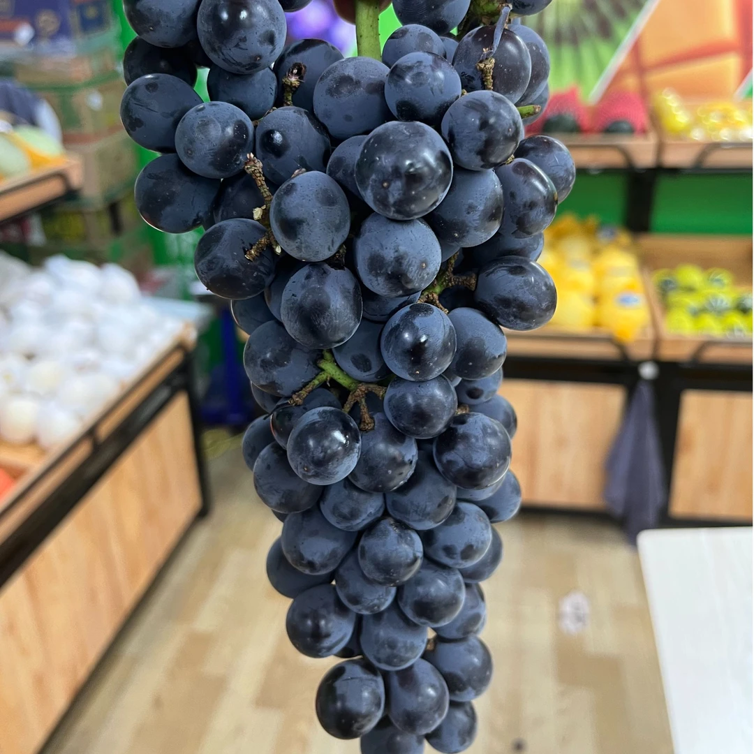 新疆蓝莓葡萄一箱 净重约3.5斤 口感甜 送礼自用首选云南省