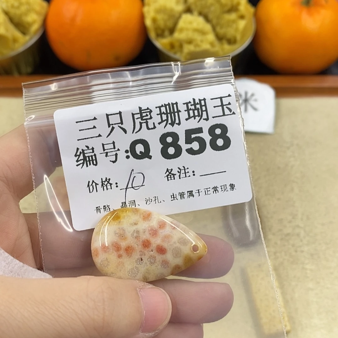 硅化珊瑚（珊瑚玉）1未镶嵌用****舞
