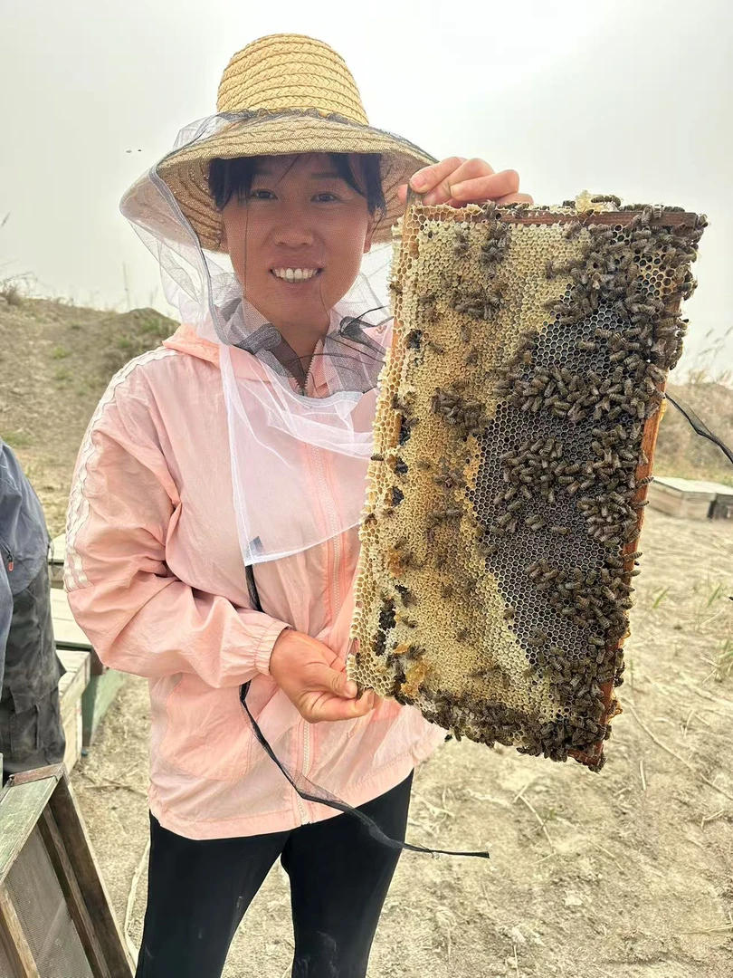 新疆特产沙枣花蜜2斤装产地直发包邮