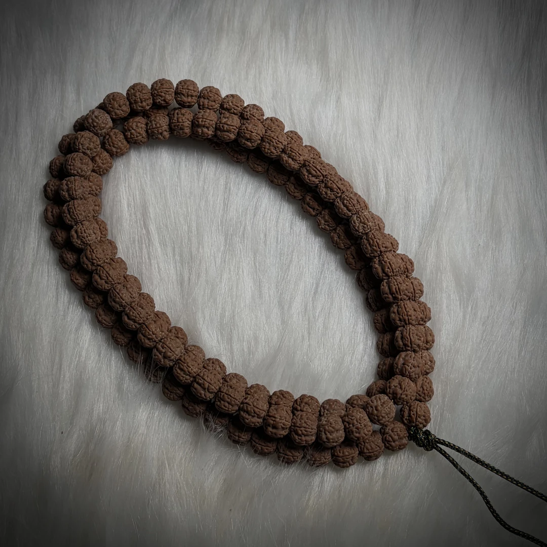 【可青】2025年精挑【原桩】【老树玉梅花花王】长串【108】