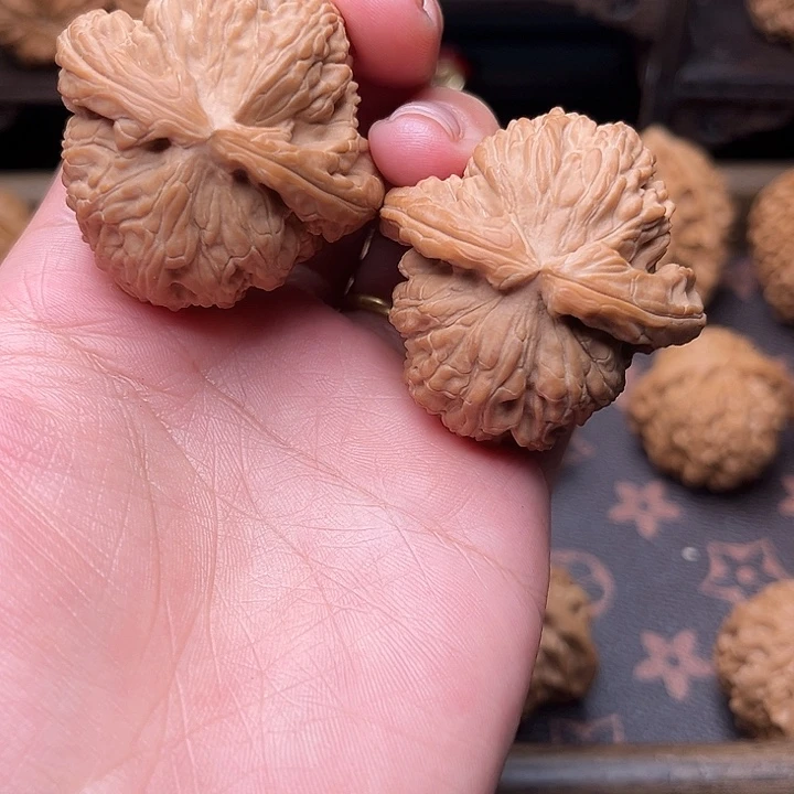 核桃41白狮子福利对