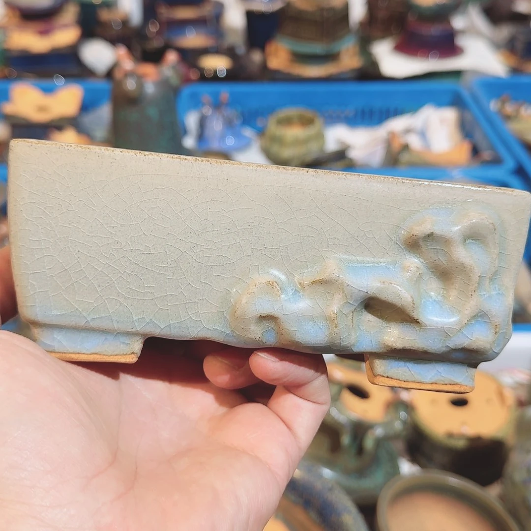 碗瑕觉象原创盆景盆