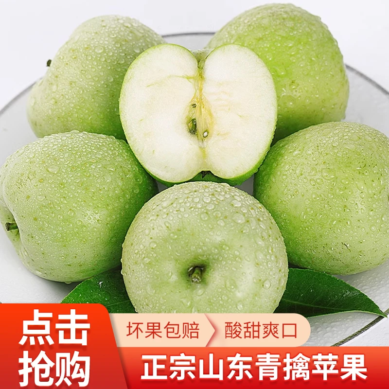 快递装 山东威海 青檎75#12枚