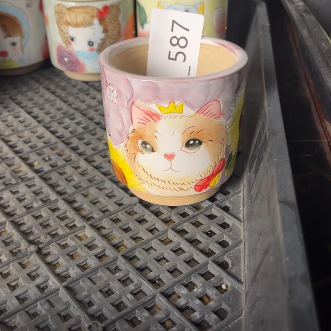 大***贤587多肉花盆   1个