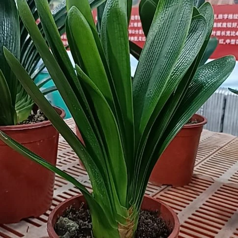 一***6           突突突