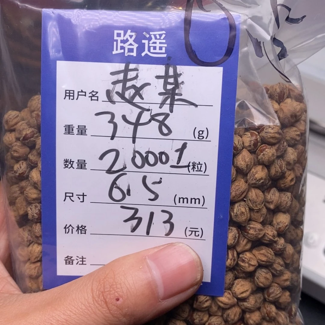柏香籽/百香籽吊坠赵*