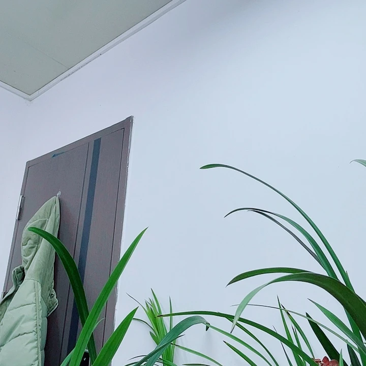 原盆发补10米运费差价