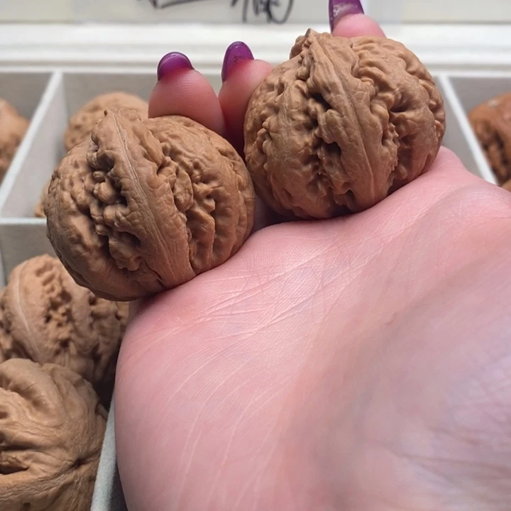 破***堂文玩核桃吊坠霸王龙