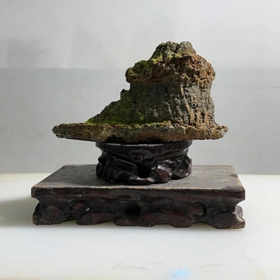 【闪购商品】香榧木贯**终你的世界有这么可爱