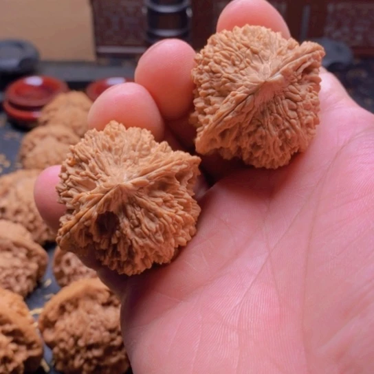 非**得文玩满天星狮子头44 尺寸加打底